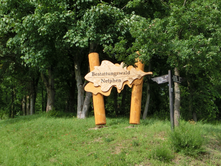 Grabreden im Bestattungswald Netphen