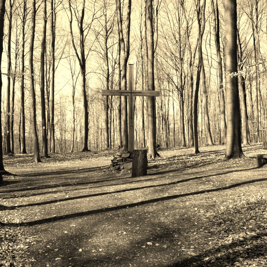 Friedhofswald Siegen