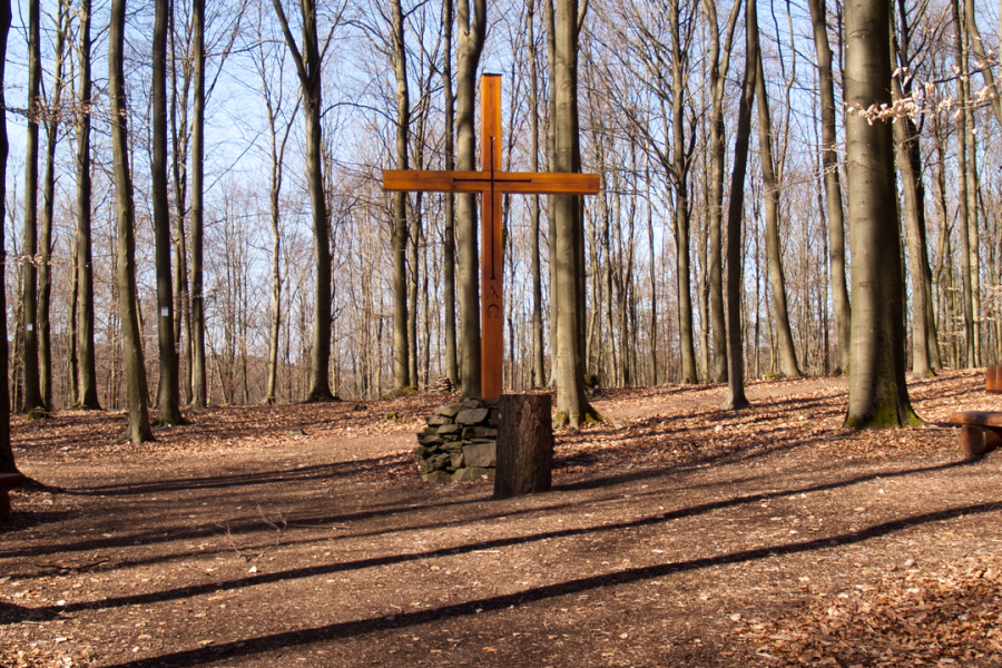 Friedhofswald Siegen